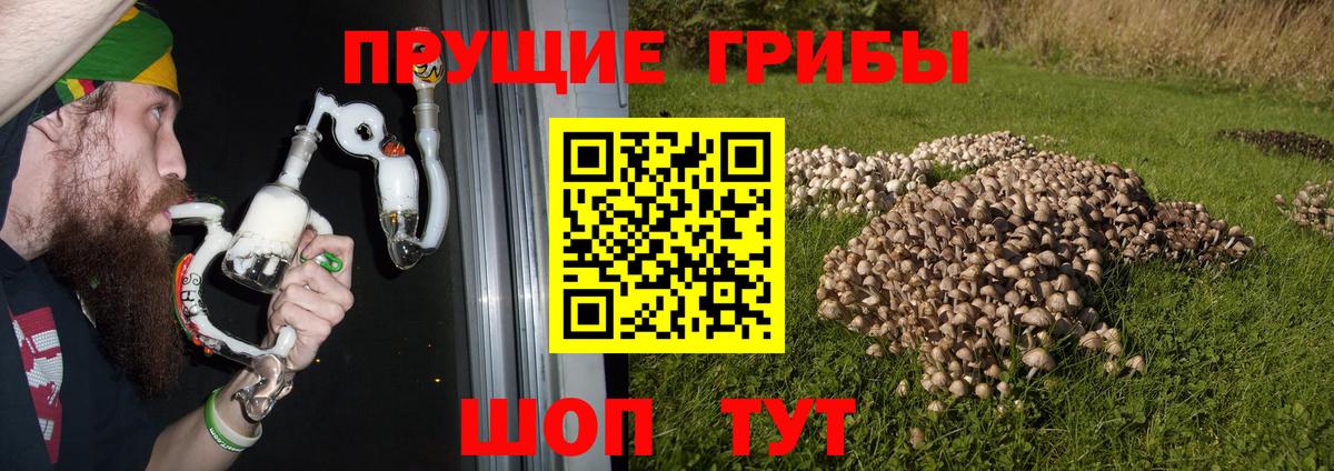 Галлюциногенные грибы мухоморы  Псилоцибиновые грибы Psilocybine cubensis  Новокузнецк  сколько стоит  Вход с VPN 