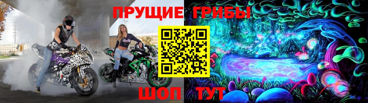Псилоцибиновые грибы Psilocybine cubensis Новокузнецк